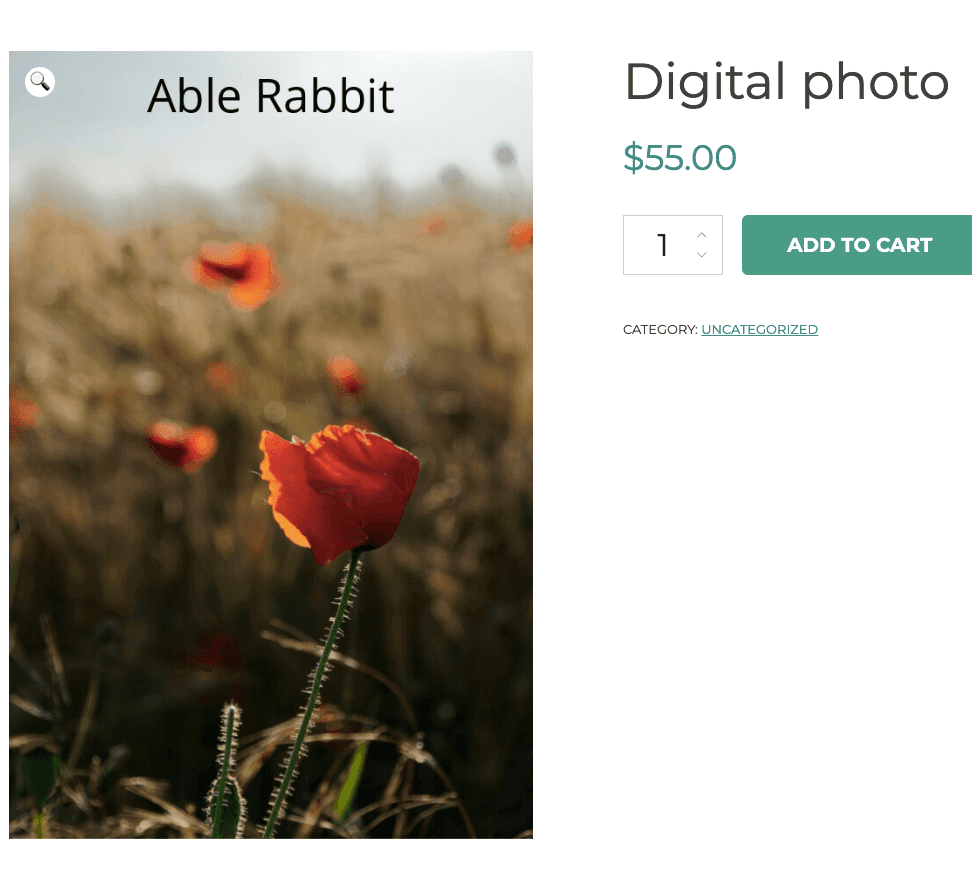 Watermark on product image generated by WooCommerce Watermark plugin